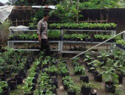 Sinergi Polsek Labuapi Perkuat Pangan di Lombok Barat