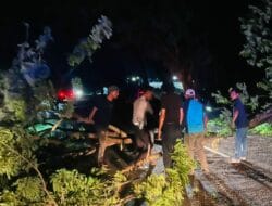 Arus Lalulintas Tersendat, Cepat Tanggap Unit Gakum Satlantas Polres Bima Evakuasi Pohon Tumbang