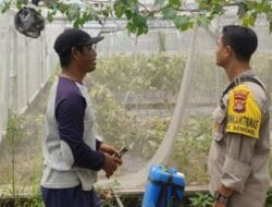 Warga Bengkel Sulap Pekarangan Jadi Lahan Pangan Produktif