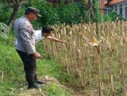 Sinergi Polri dan Petani Jaga Stok Pangan di Lombok Barat