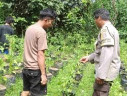 Langkah Polsek Batulayar Dukung Ketahanan Pangan Nasional