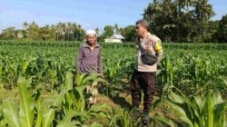 Langkah Polsek Batulayar Perkuat Ketahanan Pangan Desa