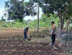 Strategi Polsek Sekotong Wujudkan Kemandirian Pangan di NTB