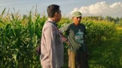 Strategi Polsek Labuapi Perkuat Kedaulatan Pangan Desa