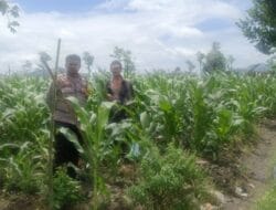 Strategi Polsek Gerung Perkuat Pangan di Dusun Barabokong