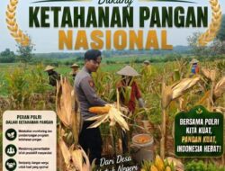 Dukung Astacita Presiden, Polsek Kenduruan Polresta Tuban Turun Langsung Bantu Petani Panen Jagung di Desa Jamprong