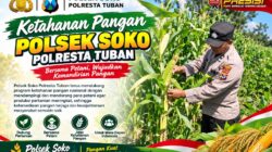 Polsek Soko Polresta Tuban Turun Langsung Cek Tanaman Jagung Warga