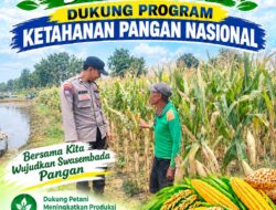 Polsek Palang Dukung Ketahanan Pangan Nasional Melalui Pemantauan Lahan Jagung