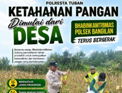 BHABINKAMYTIBMAS POLSEK BANGILAN DUKUNG KETAHANAN PANGAN NASIONAL