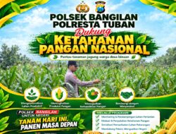 POLSEK BANGILAN DUKUNG KETAHANAN PANGAN TANAMAN JAGUNG