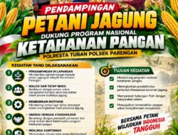 Polsek Parengan Polresta Tuban Pantau Lahan Jagung Warga Desa Pacing Dukung Program Astacita