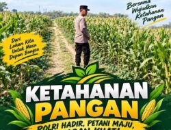 Polsek Soko Polresta Tuban Turun Langsung Cek Tanaman Jagung Warga